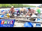 THVL | Nông dân miền Tây – Kỳ 73: Nuôi hàu lồng - Nghề mới ở Đất Mũi