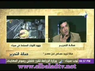 أشرف ابوالهول : حماس ناكرة لجهود وتضحيات مصر من اجل القضية الفلسطينية