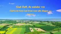Gods woorden ‘God Zelf, de unieke VIII God is de bron van leven voor alle dingen (II)’ Deel twee