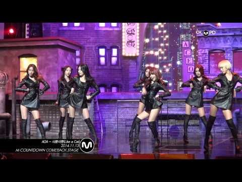 [MPD/직캠] 141113 AOA - 사뿐사뿐(Like a Cat)