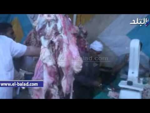 صدى البلد | محافظ الفيوم: استمرار طرح اللحوم المدعمة طوال العام بمنافذ التوزيع