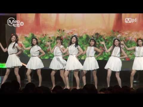 [MPD직캠] 다이아 직캠 그 길에서 On the road DIA Fancam @엠카운트다운_160707