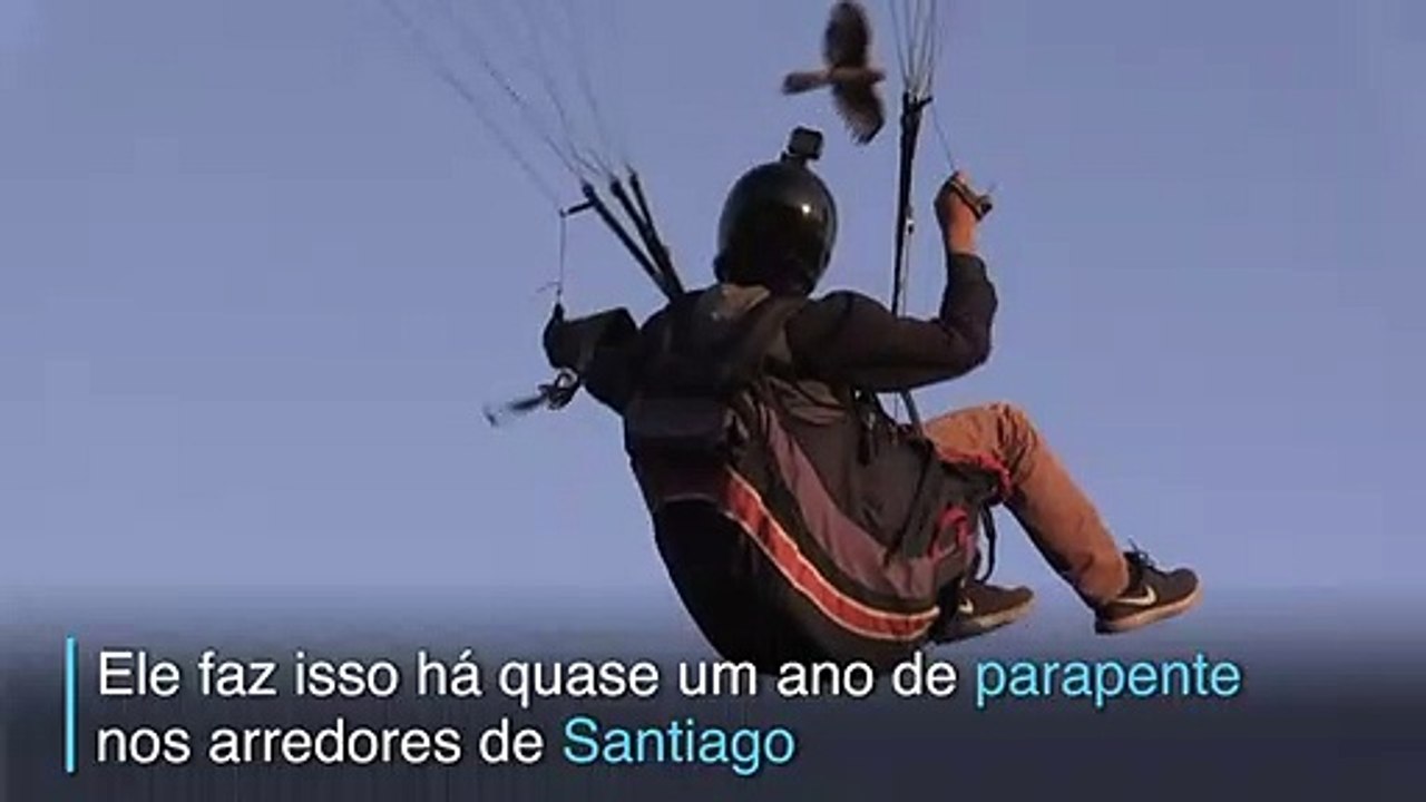 Amigos do céu