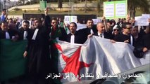 محامون وصحافيون يتظاهرون في الجزائر ضد ترشيح بوتفليقة لولاية خامسة