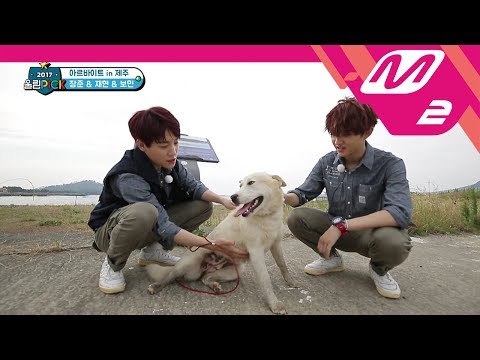 [2017 WoollimPICK] Pet sitters' hard work! Where is David the runaway dog? EP.6