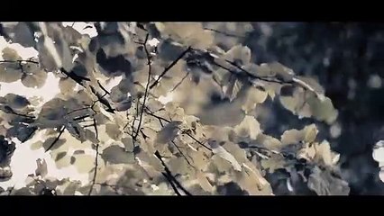 Burhan Yıldız feat Özge Öz - Melüllenme Deli Gönül