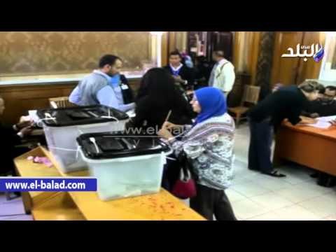 صدى البلد | مروة هشام بركات تساعد معاق على الادلاء بصوته