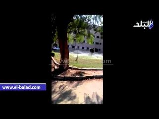 صدى البلد | جامعة القاهرة تفعل خطوط رى الحدائق
