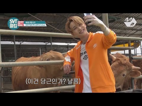 [SVT클럽] 디지털 Ep.8 한우 내기가 걸린 셀카대회! 정한vs도겸vs친구, 승자는? (M2 Only)
