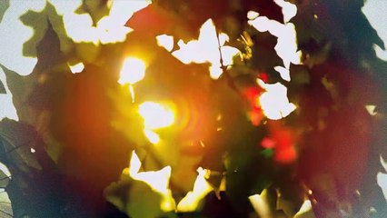 A vendre - Appartement - Bulle (1630) - 3.5 pièces - 90m²