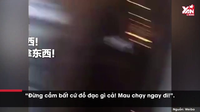 Máy bay gặp sự cố nghiêm trọng, hành động của nữ tiếp viên khiến CĐM nể phục