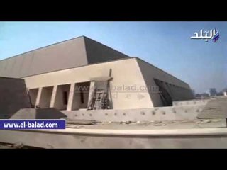 صدى البلد |  متحف آثار سوهاج مأوى للكلاب الضالة