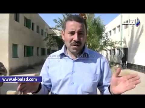 صدى البلد | وقفة احتجاجية لعمال التشجير بالوادي الجديد للمطالبة بالتثبيت