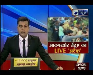 आदमखोर तेंदुए की दहशत की बेहद डरावनी तस्वीरें_ Suno India