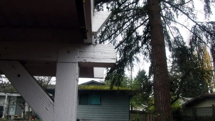 Home Inspector Shows Rotted Structural Beam