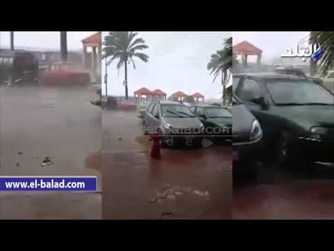 صدى البلد | الأمطار تضرب الإسكندرية.. و الصرف الصحي: لا وجود لتجمعات مائية