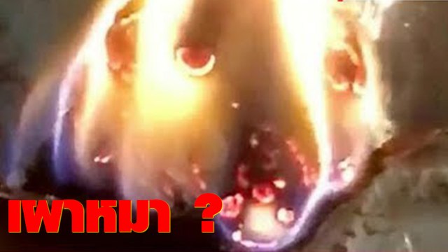 หลอนไป 3 วินาที !! คลิปเผาฟืน นึกว่าเผาน้องหมา เหมือนชะมัด