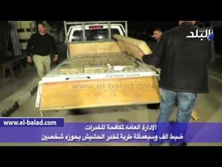 صدى البلد | "مكافحة المخدرات" تضبط شخصين بحوزتهما 1700 طربة حشيش