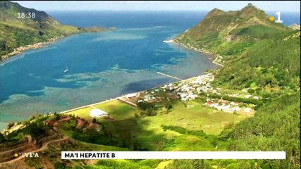 TH : Rowing, la rame qui a le vent en poupe