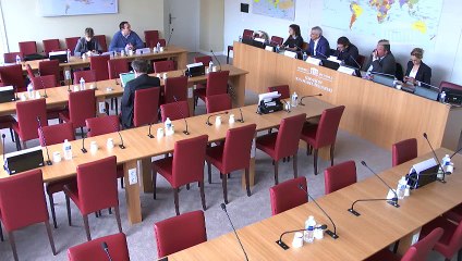 Stratégie de sortie du Glyphosate : Audition de représentants de Jeunes agriculteurs (JA) - Jeudi 7 mars 2019