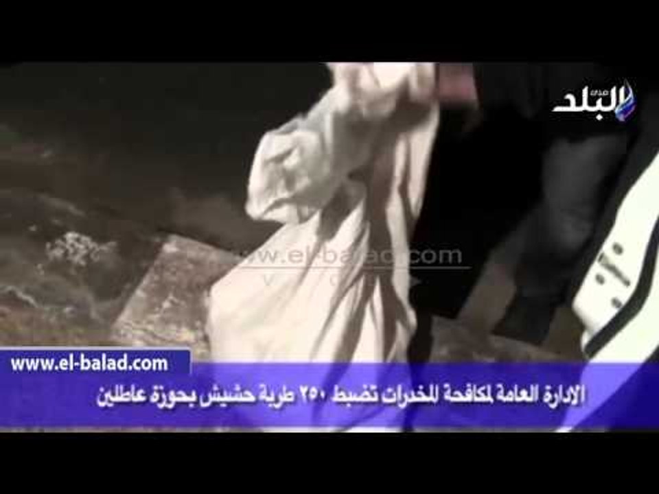 صدى البلد | «المخدرات» تضبط عاطلين بحوزتهما 250 طربة حشيش