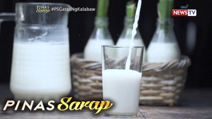 Pinas Sarap: Gatas ng baka at kalabaw, may pagkakaiba nga ba?
