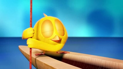 Where is Chicky? Funny Chicky #6 | Chicky Dessin Animé 2018