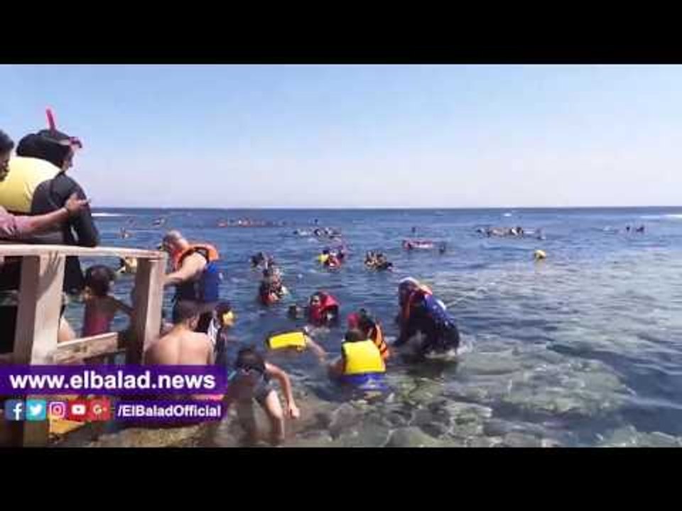 صدى البلد | الشعب المرجانية بـ"البلو هول" بدهب تواجه خطر الإندثار.. التناقص بلغ 20%