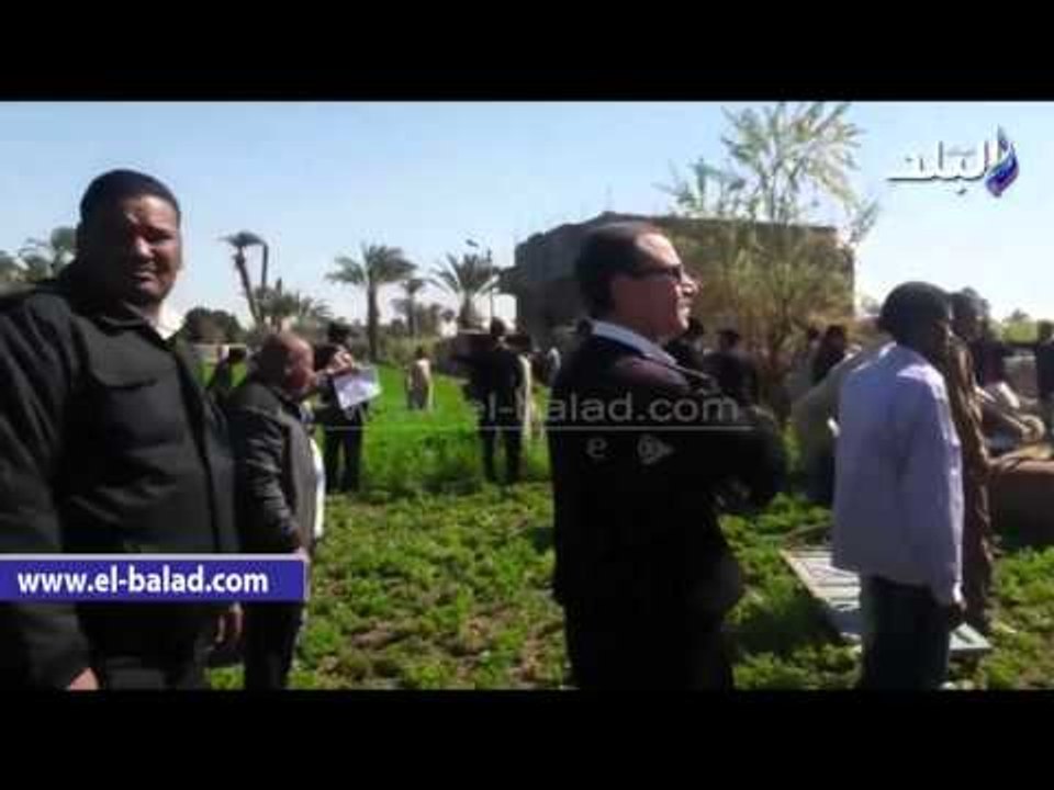 صدى البلد | إزالة 54 حالة تعد على الأراضى الزرا...