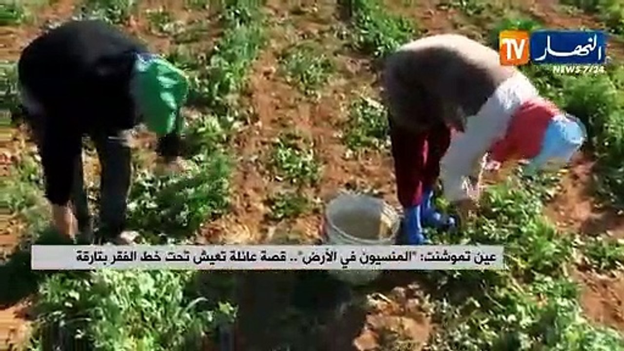 عين تموشنت: "المنسيون في الأرض".. قصة تعيش تحت...