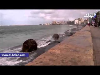 صدى البلد | استمرار حالة الطقس السيئ بالإسكندرية