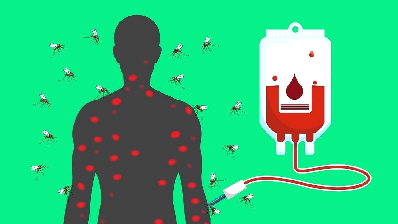 كم يلزم من بعوضة لامتصاص كل دمك..؟ أسئلة لطالما حيرتك
