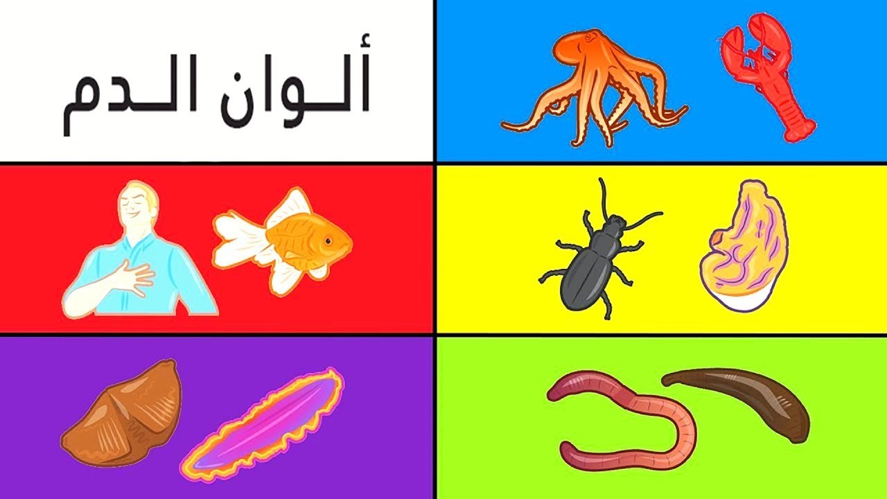 أضف إلى رصيدك المعرفي أغرب 25 معلومة لم تكن تعلمها قبل 5 دقائق