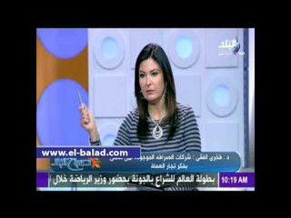 الفقي: مصر تعاني من ندرة في النقد الاجنبي.. شركات الصرافة   تعمل بفكر تجار العملة