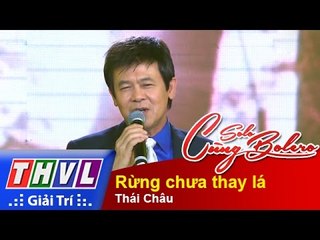 THVL | Solo cùng Bolero 2015 - Tập 12:  Rừng chưa thay lá - Thái Châu