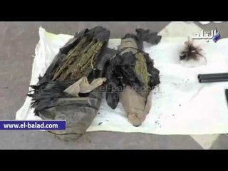 صدى البلد | حملة مكبرة على أخطر تجار الكيف بـ"التل الكبير"