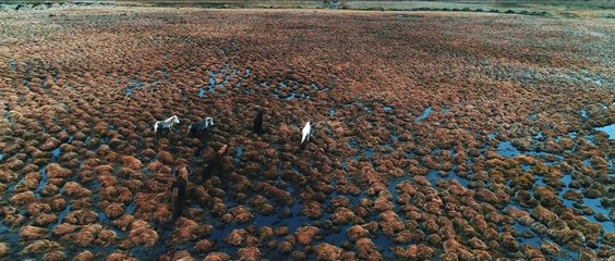 Ioana Ignat - Muritor (Official Music Video)