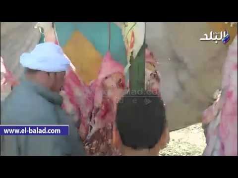 صدى البلد | حملة تموينية مكبرة علي منافذ بيع اللحوم بالفيوم