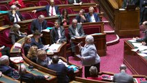 QAG - Stéphane Piednoir : Report de la proposition de loi sur les communes nouvelles : un abandon pur et simple ?