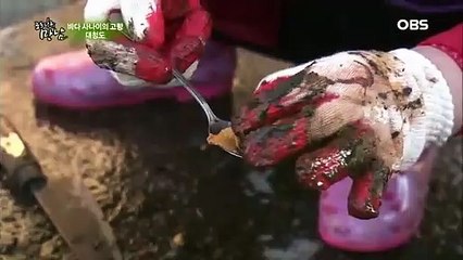 청양출장안마 -100%미인ョØ7Øe881ØaØ184【톡문의XPF889】청양전지역출장마사지샵청양출장go안마ok청양출장마사지황형ぐけぉ외국인콜걸섹시한와꾸