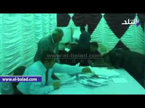 صدى البلد | بدء فرز الأصوات فى انتخابات التجديد النصفى لنقابة المهندسين في أسيوط