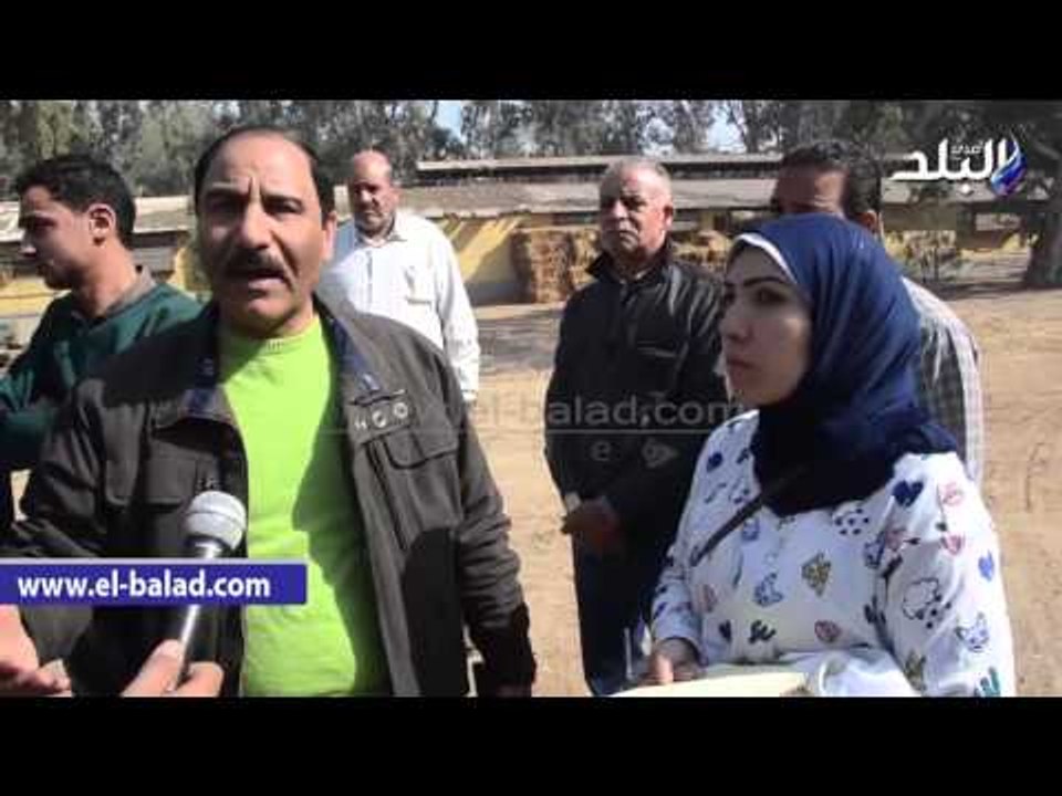 صدى البلد | نائب عين شمس" لصدي البلد " لابد من تخصيص وزارة الزراعة نسبة من  "المزادات"