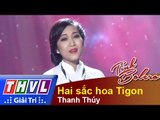 THVL | Tình Bolero - Tình ca muôn thuở: Thanh Thúy - Hai sắc hoa Tigon