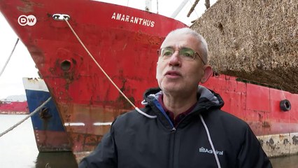 Greece: Shipwrecks ahoy in the Gulf of Elefsina | Focus on Europe