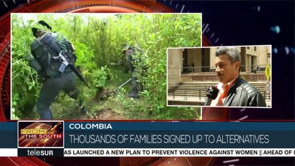 Colombian Government Wants to Lift Glyphosate Ban