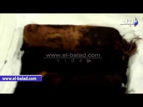 صدى البلد | مسئول بـ المتحف الكبير : البردى يمثل 60% من محتويات معمل الآثار العضوية