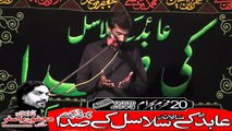 Zakir Syed Anjam Raza Sherazi Hafizabad 20th Muhram 1440(2018) Choti Behak Hafizabad