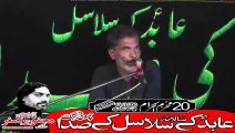 Zakir Syed Fida Hussain Pindi Bhatyan Hafizabad 20th Muhram 1440(2018) Choti Behak Hafizabad