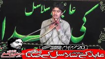 Zakir Syed Wadood Hussain Sial kot 20th Muhram 1440(2018) Choti Behak Hafizabad