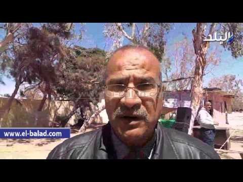 صدى البلد | بالاغانى والهوايات السيناوية مهرجان كشفى لتلاميذ جنوب سيناء